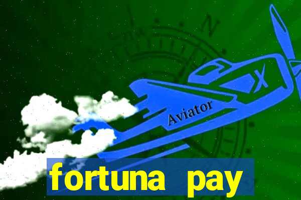 fortuna pay consultoria financeira ltda